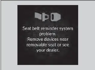 Seat Belts