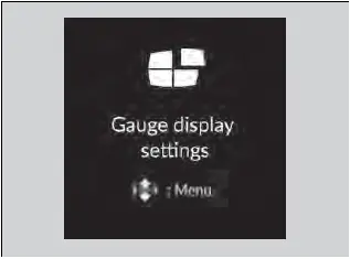 Gauges and Displays / Gauge Display Settings