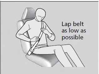 Seat Belts