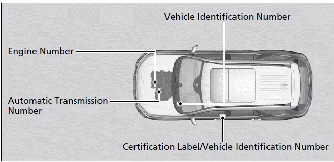 2023-2024 Honda Pilot - Vehicle Identification Number (VIN), Engine Number, and Transmission Number