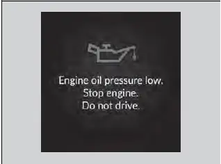 2023-2024 Honda Pilot | Indicator Coming On/Blinking