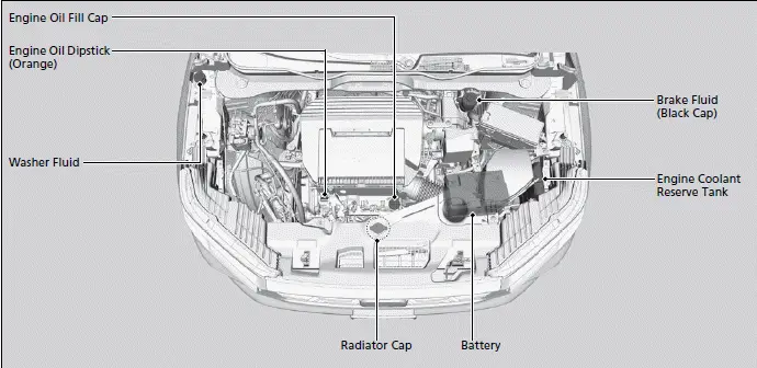 2023 Honda Pilot | Maintenance Items Under the Hood