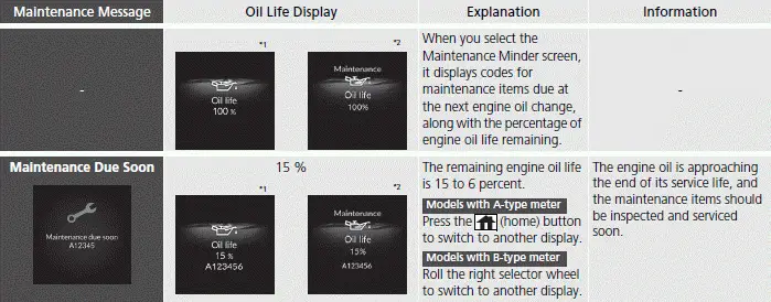 Maintenance Minder Messages on the Driver Information Interface